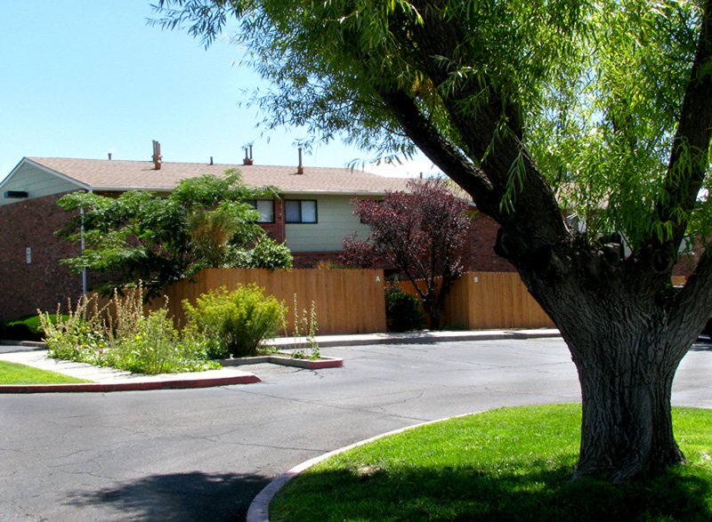 Mature Landscaping and Private Patios Grace Townhomes at Greenbriar